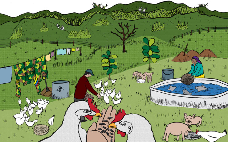 People work on a farm, feeding chickens and fish with insects. In the background, you see their laundry hanging to dry, including soldiers uniforms.