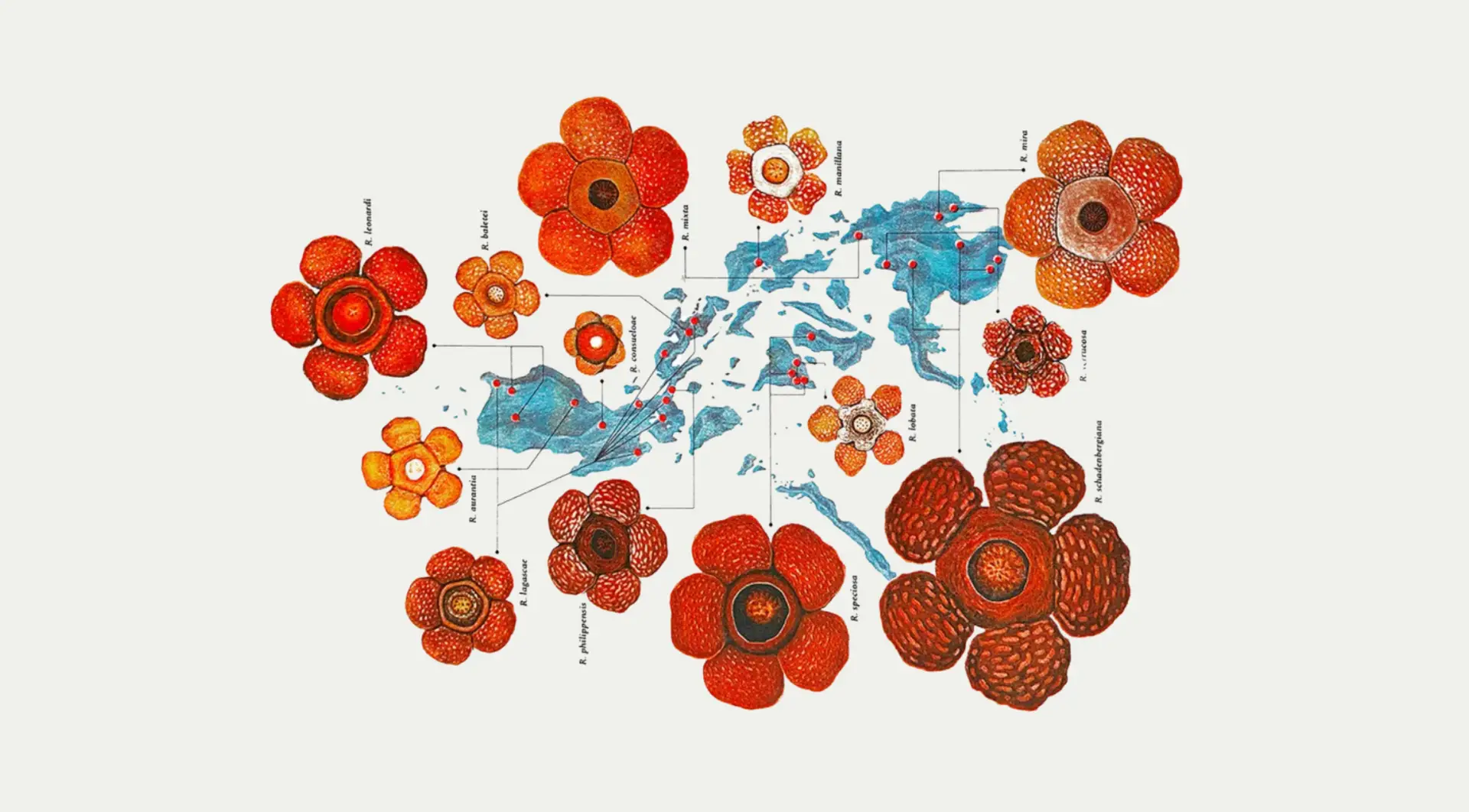 The silencing of scientists in the Philippines