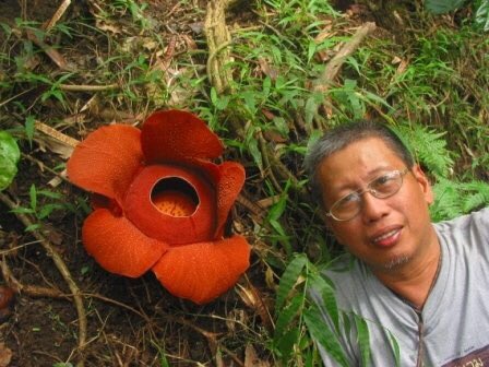 Leonard Co stands next to a large vibrant red flower in the field.