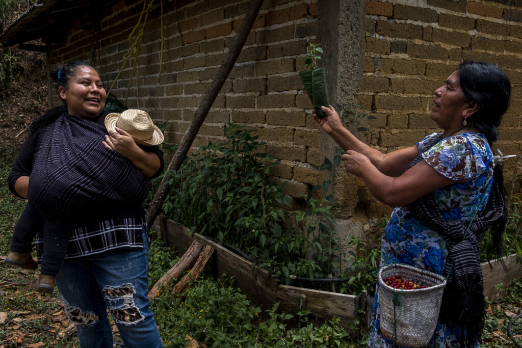 A woman holding a baby and woman with gathered coffee beans laugh near a house.