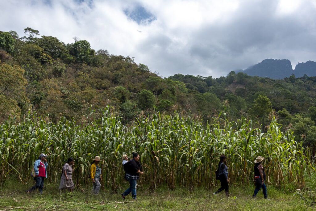 Women walk alongside a field in Oaxaca.