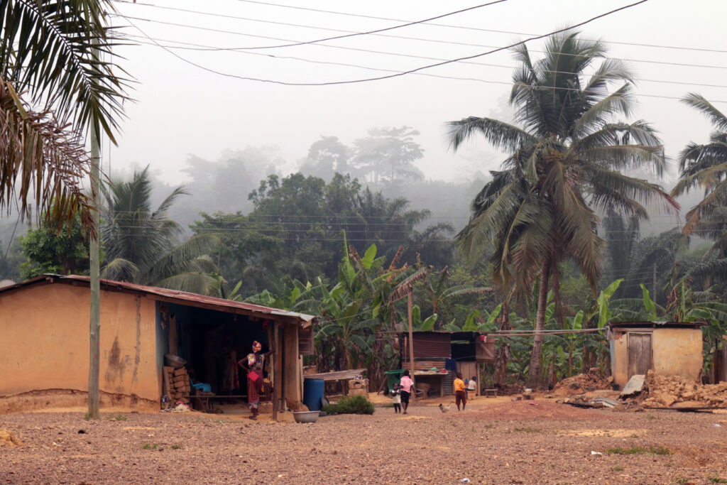 A few houses sit beside towering trees of a palm oil plantation in Ghana