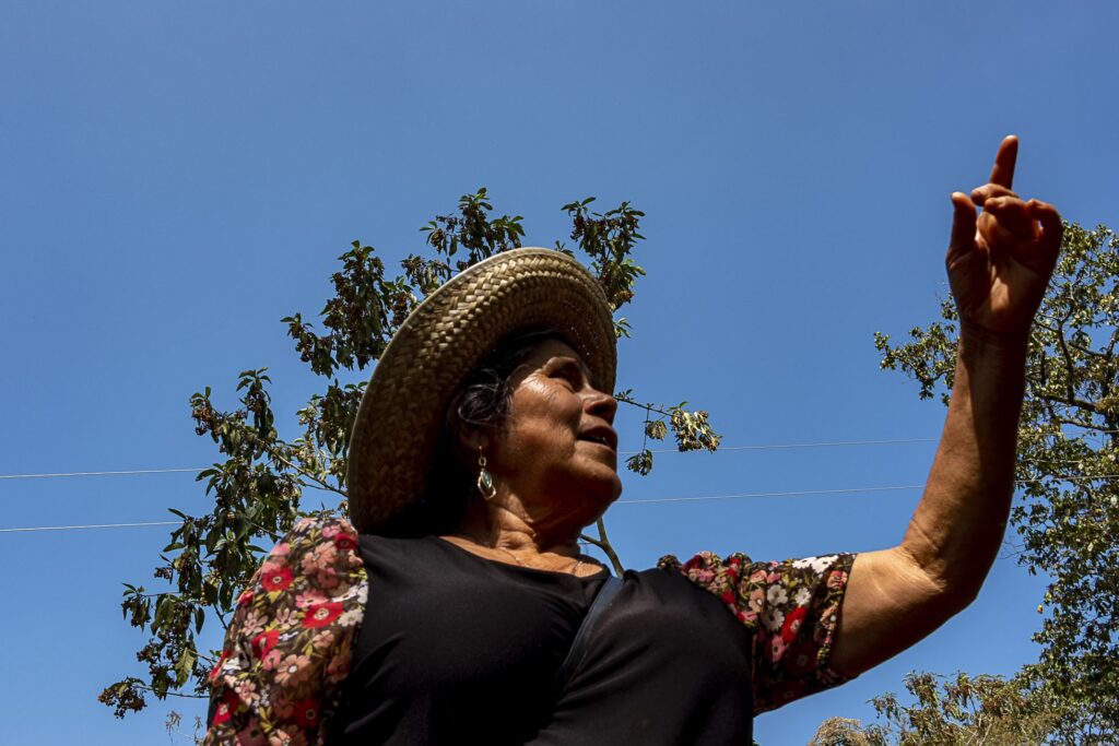 A woman stands in the sun against a blue sky, examining coffee beans.