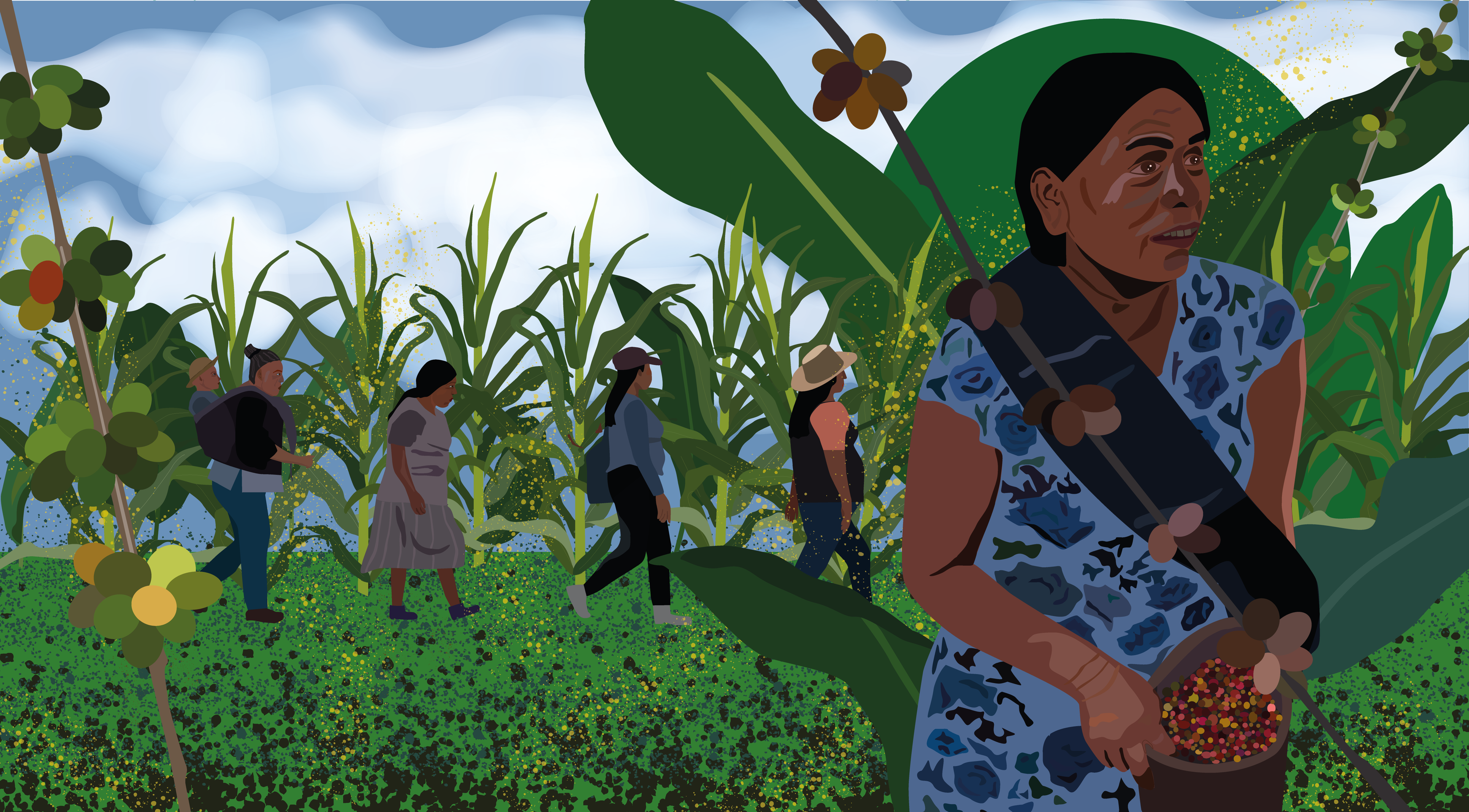 The illustration shows a lush green field of coffee plantation with a person in the foreground and four people in the background, picking coffee.