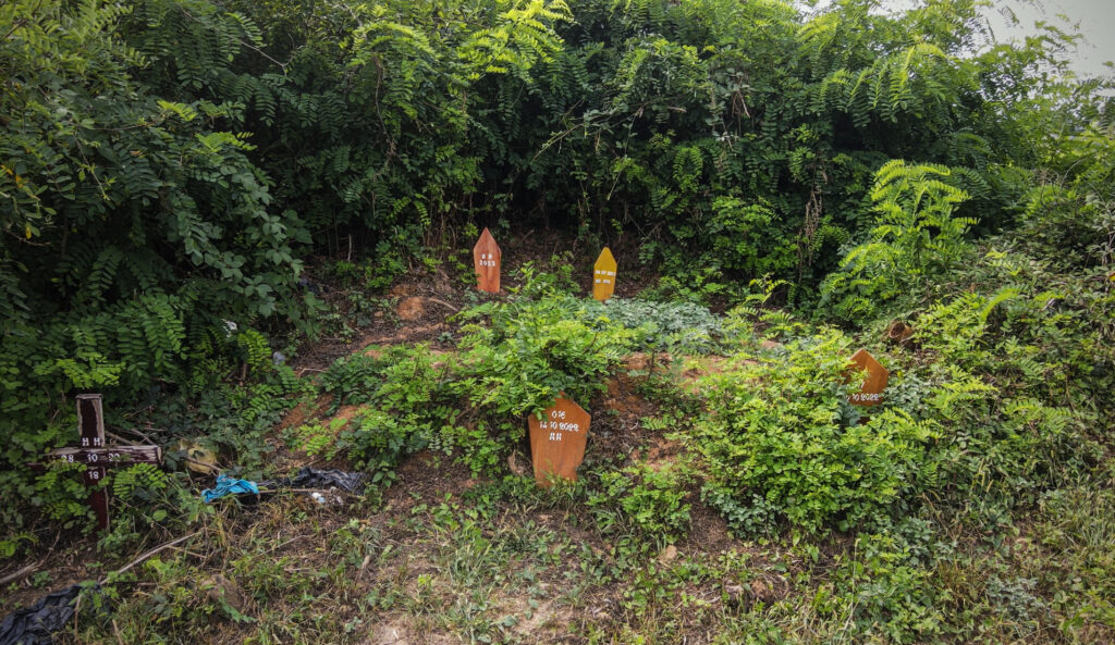 Small unmarked graves bushes in a cemetary