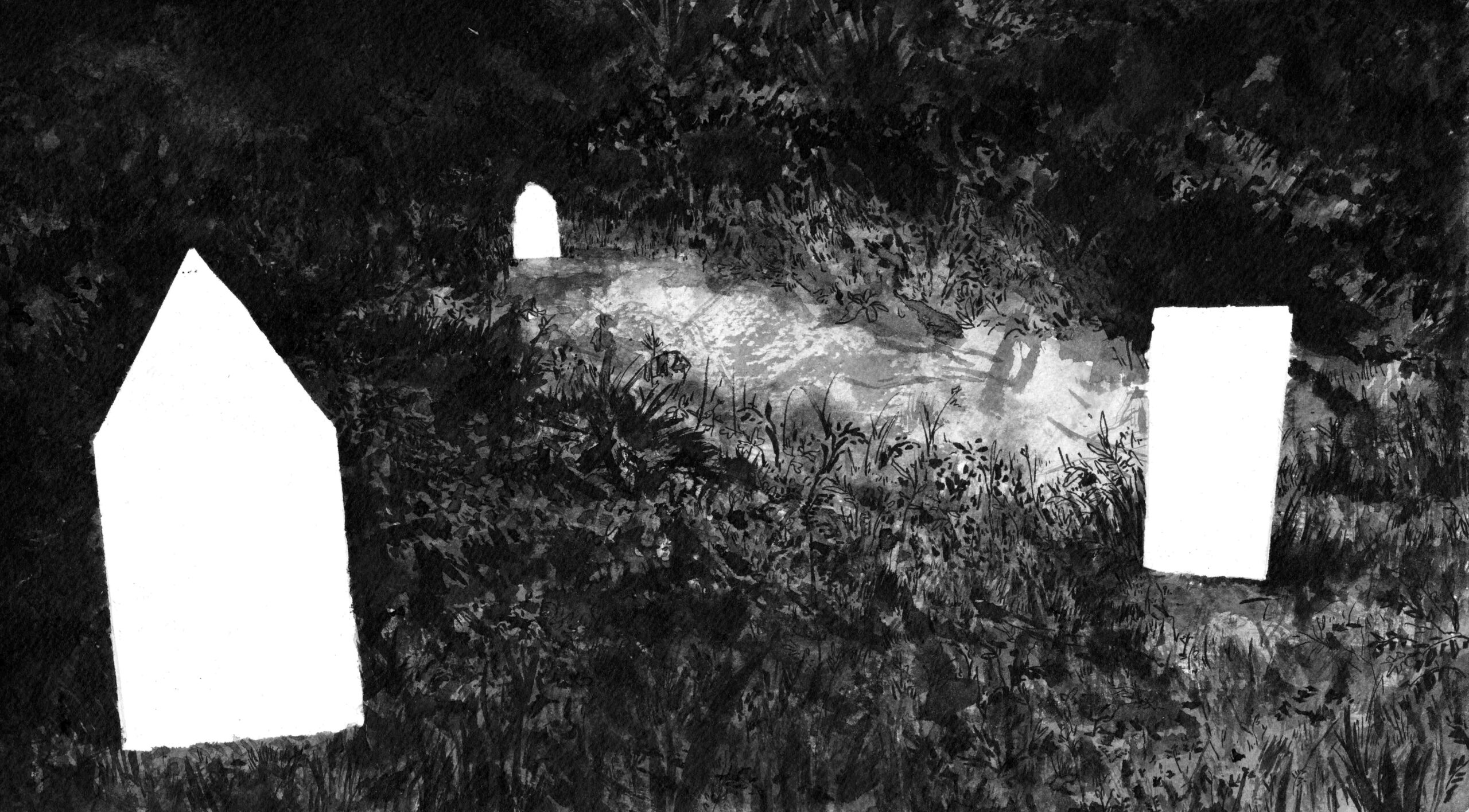 Three blank graves rest in a bed of grass and leaves