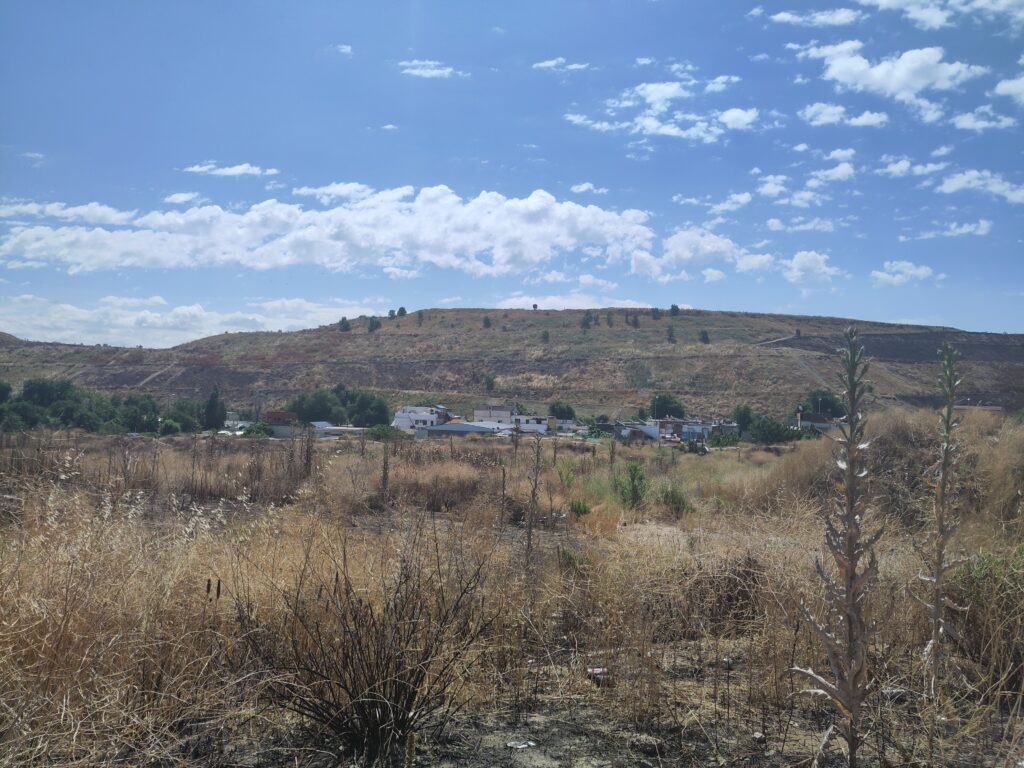 A field with homes under a sunny sky