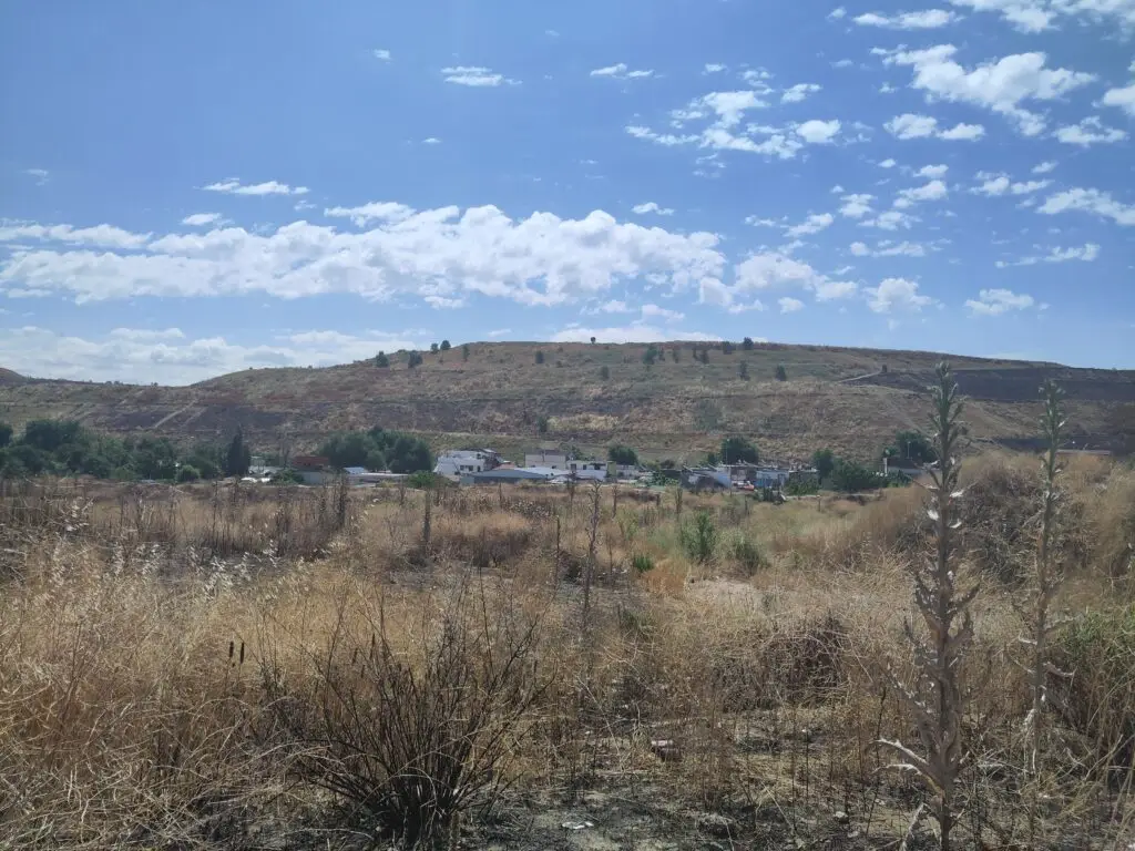 A field with homes under a sunny sky