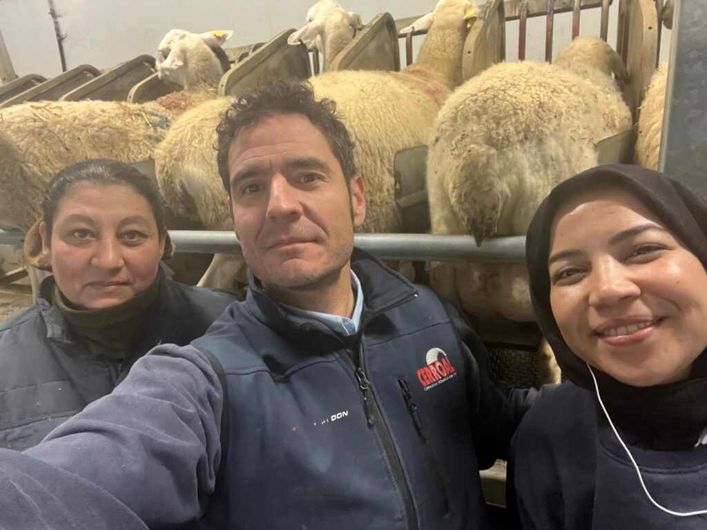 Three people, two women and a man, stand inside a sheep farm.